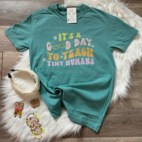 It's A Good Day To Teach Tiny Humans Tee